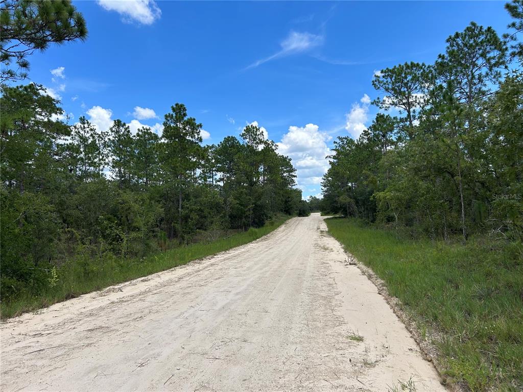 A dirt road stretches through a wooded area under a bright blue sky — TBD SE 26TH STREET, MORRISTON, FL
