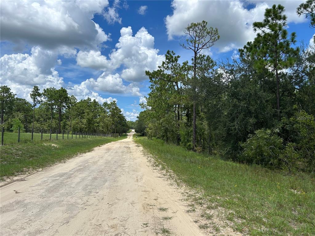 A dirt road stretches between a fenced grassy area and a wooded forest under clouds — TBD SE 26TH STREET, MORRISTON, FL