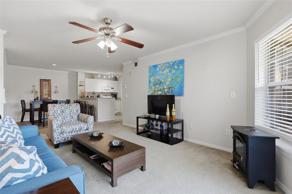 A living room features a blue sofa, patterned armchair, coffee table, television, and wood stove — 4201 WOODSTORKS WALK WAY UNIT 3210, LUTZ, FL