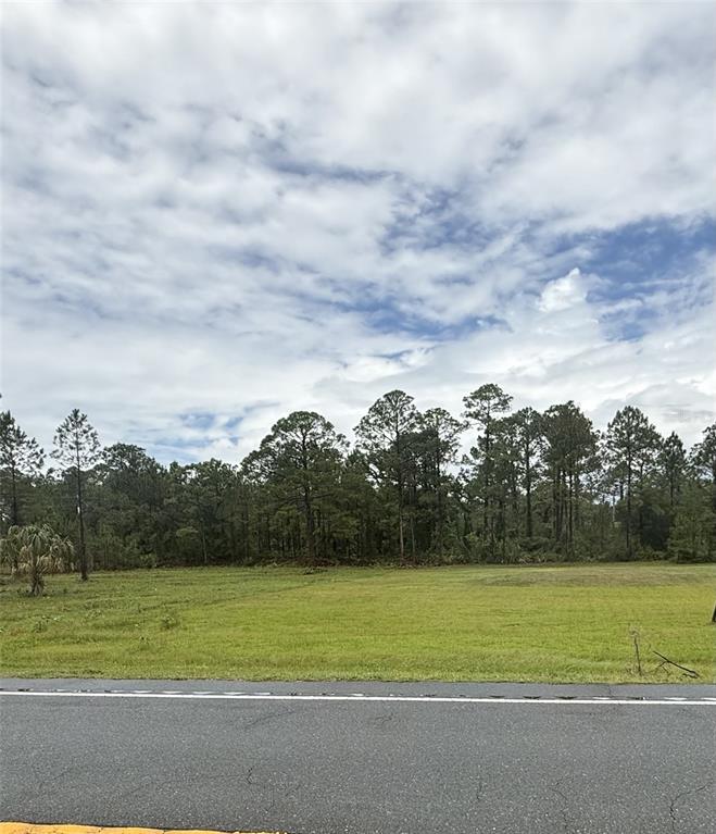 A grassy, vacant lot sits behind a paved road with a line of trees behind — SR 24, CEDAR KEY, FL