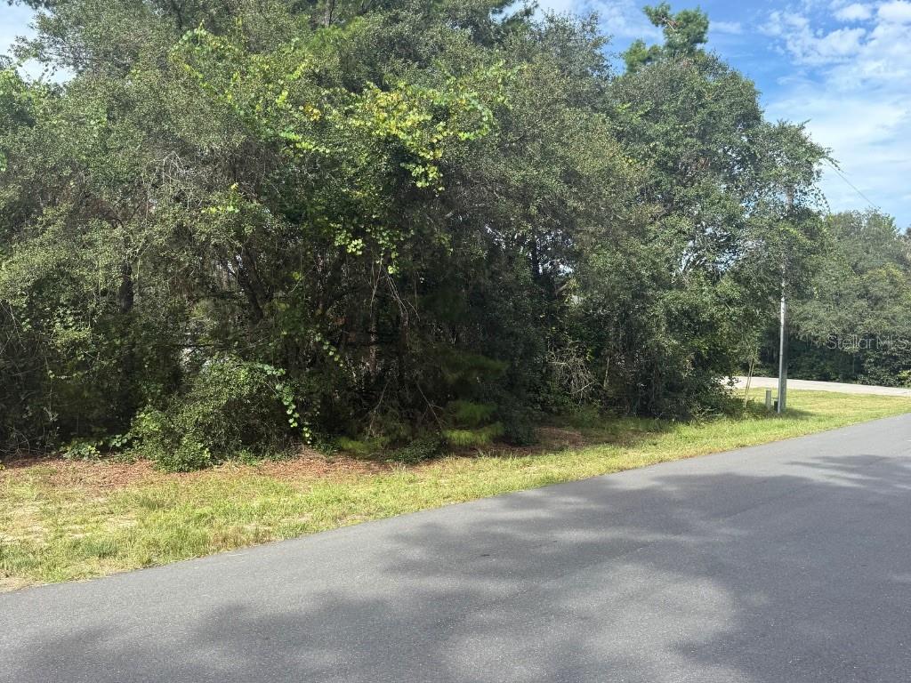 1721 E COLFAX LANE, HERNANDO, FL — photo 2 of 4