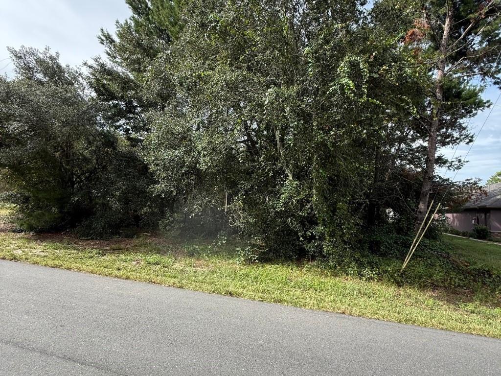 1721 E COLFAX LANE, HERNANDO, FL — photo 3 of 4