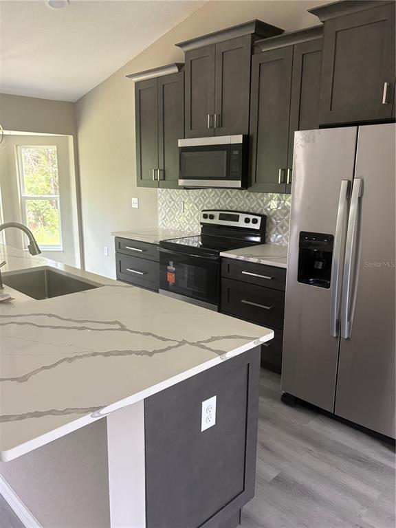 10883 SE 119TH STREET, BELLEVIEW, FL — photo 2 of 12