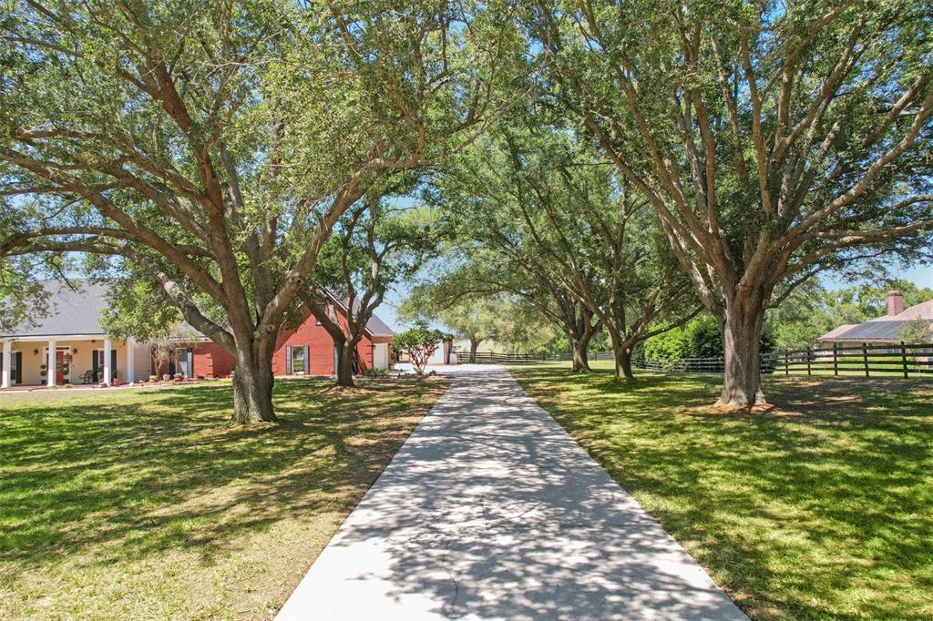 A concrete driveway leads toward a red brick house shaded by large, mature oak trees — 14951 THOROUGHBRED LN, MONTVERDE, FL