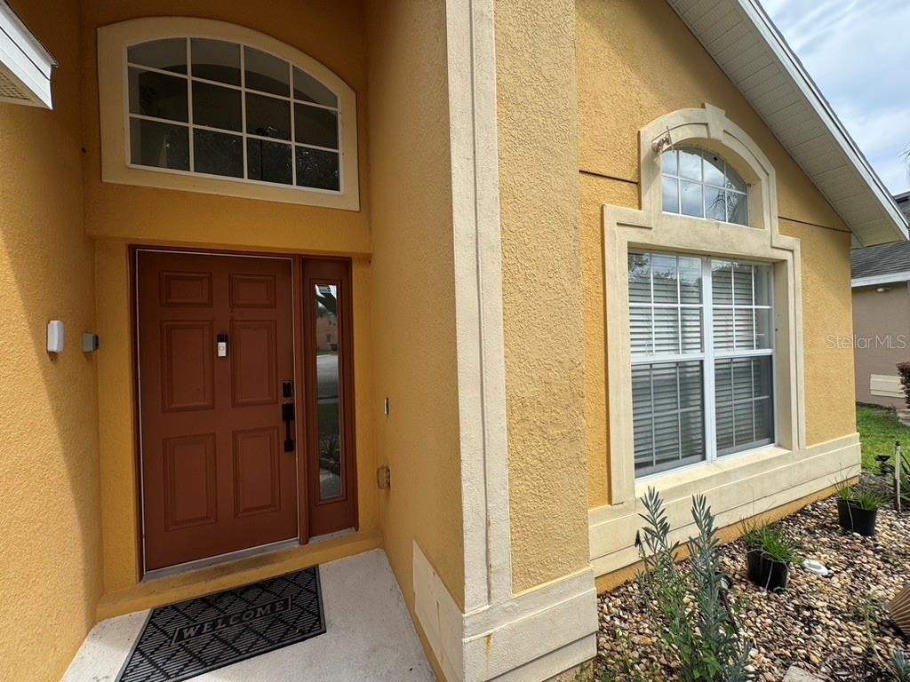 1101 ORANGE COSMOS BOULEVARD, DAVENPORT, FL — photo 3 of 42