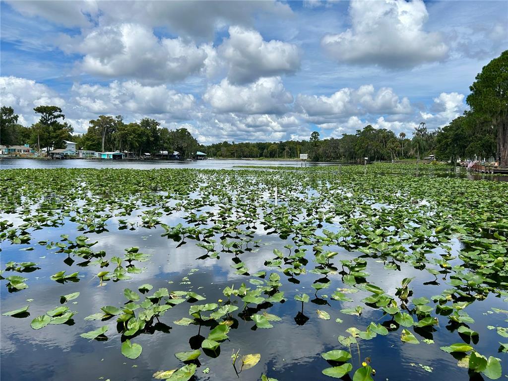 1638 PARADISE LANE, ASTOR, FL — photo 2 of 30