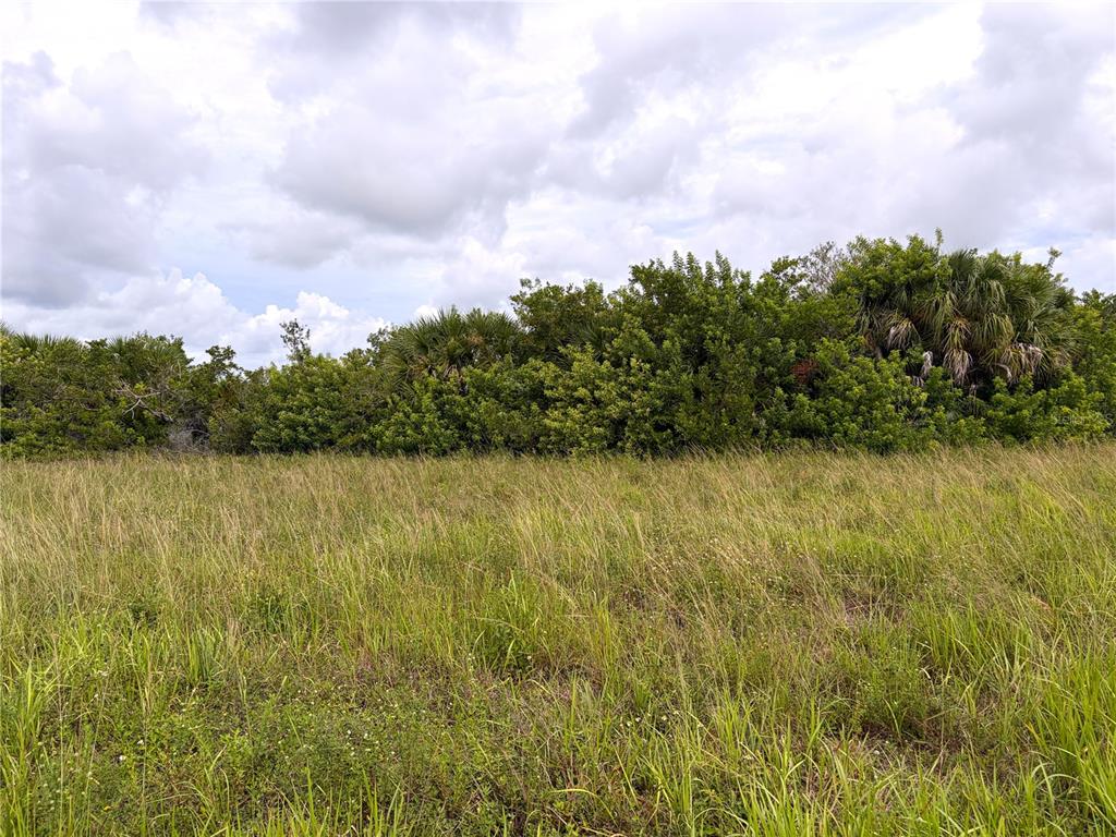 12466 SEDAN ROAD, PLACIDA, FL — photo 5 of 11