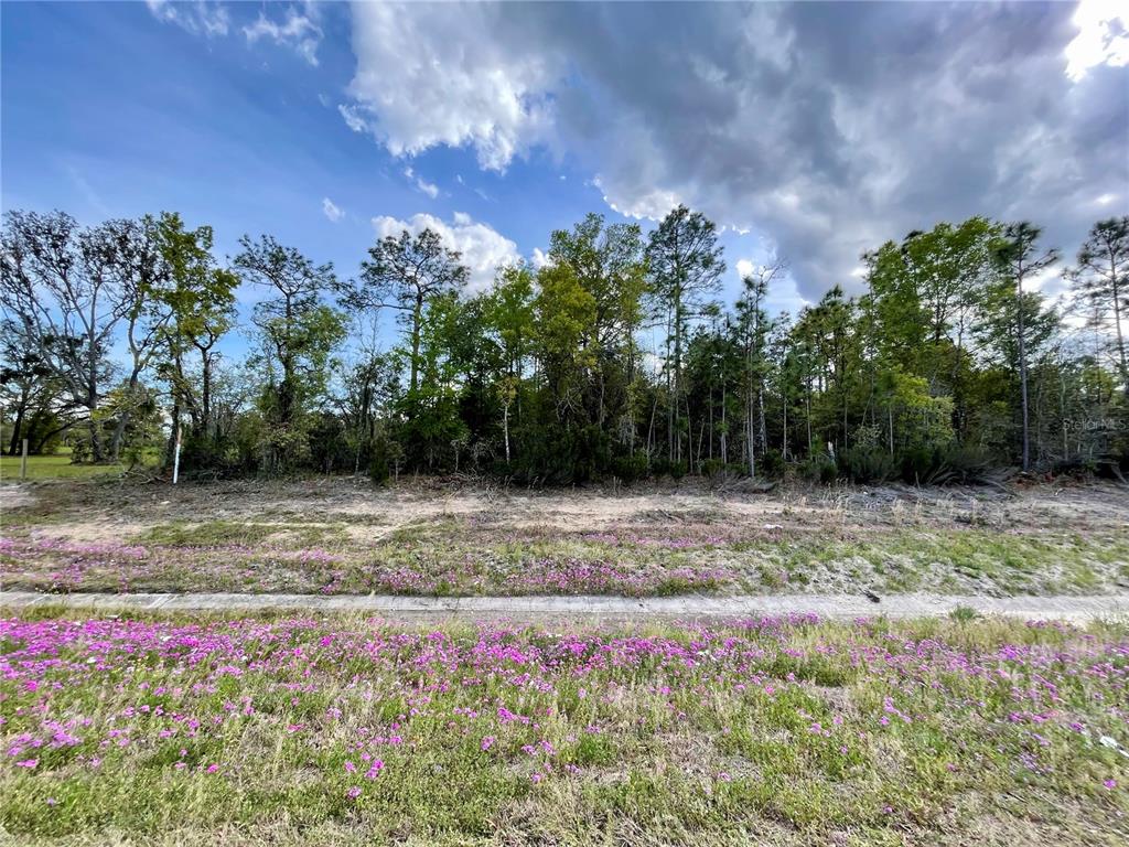A vacant, grassy lot with purple wildflowers in the foreground and a wooded background — TBD NE HIGHWAY 27 ALT, WILLISTON, FL