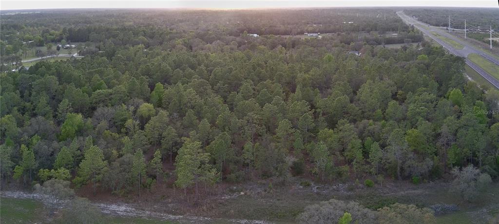 An aerial view shows a dense, wooded lot adjacent to a highway — TBD NE HIGHWAY 27 ALT, WILLISTON, FL