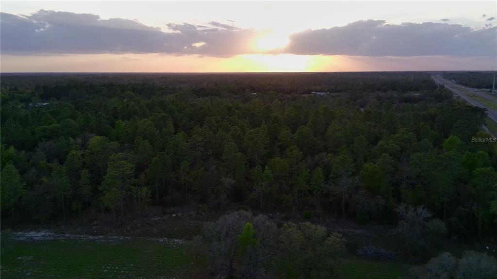 An aerial view shows a dense forest at sunset next to a highway — TBD NE HIGHWAY 27 ALT, WILLISTON, FL
