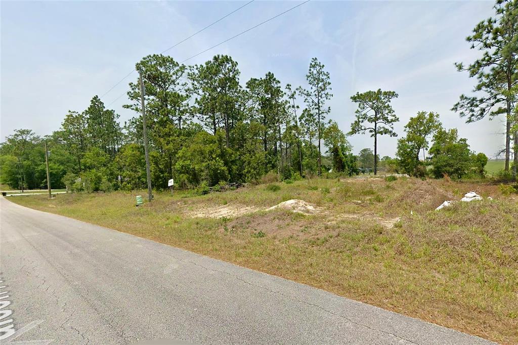 NW FALCON AVENUE, DUNNELLON, FL — photo 3 of 7