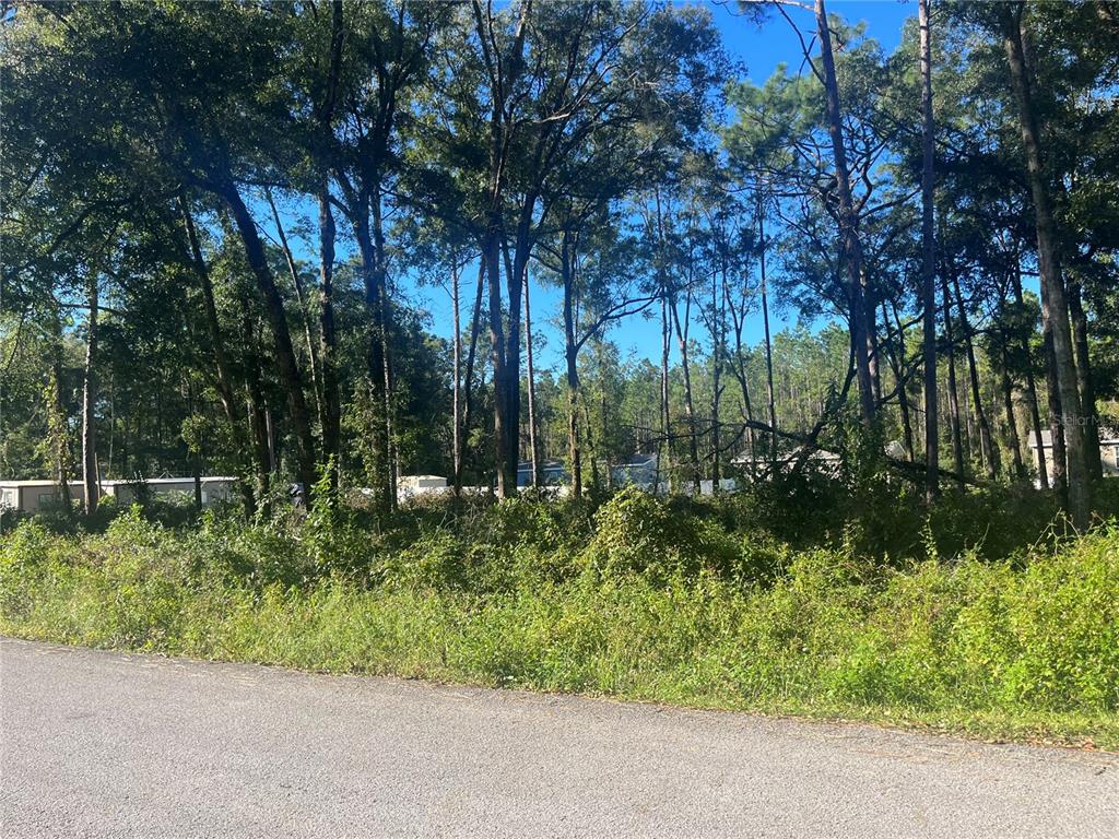 A paved road borders a wooded lot with dense vegetation and several distant mobile homes — NW 20TH ST, OCALA, FL