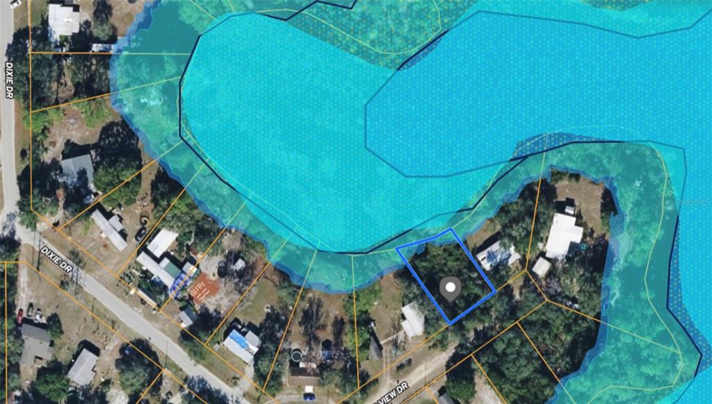 This is an aerial map showing a vacant lot outlined in blue near a lake — MORNING VIEW DRIVE, PAISLEY, FL