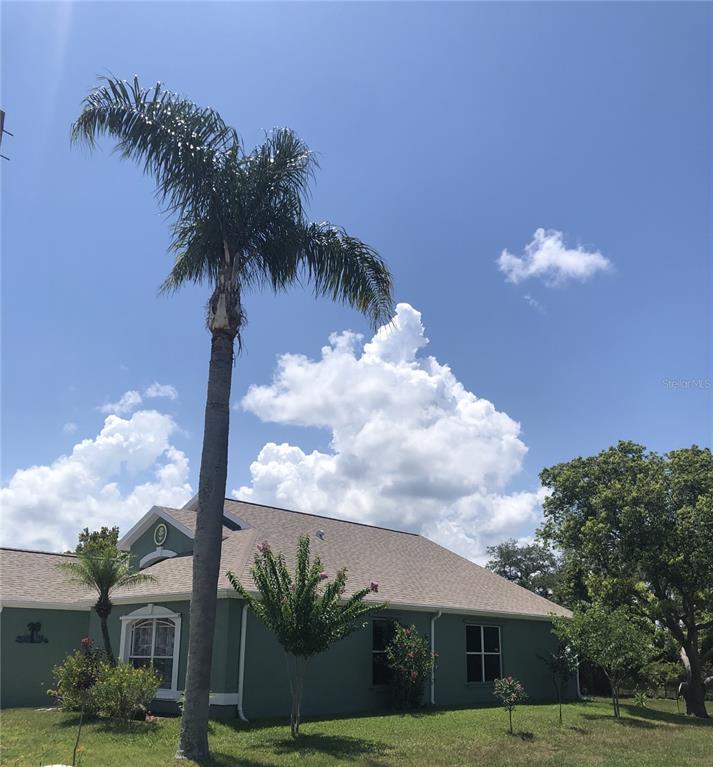 A green house with a shingled roof features a tall palm tree in the front yard — 10125 PEOPLES LOOP, PORT RICHEY, FL