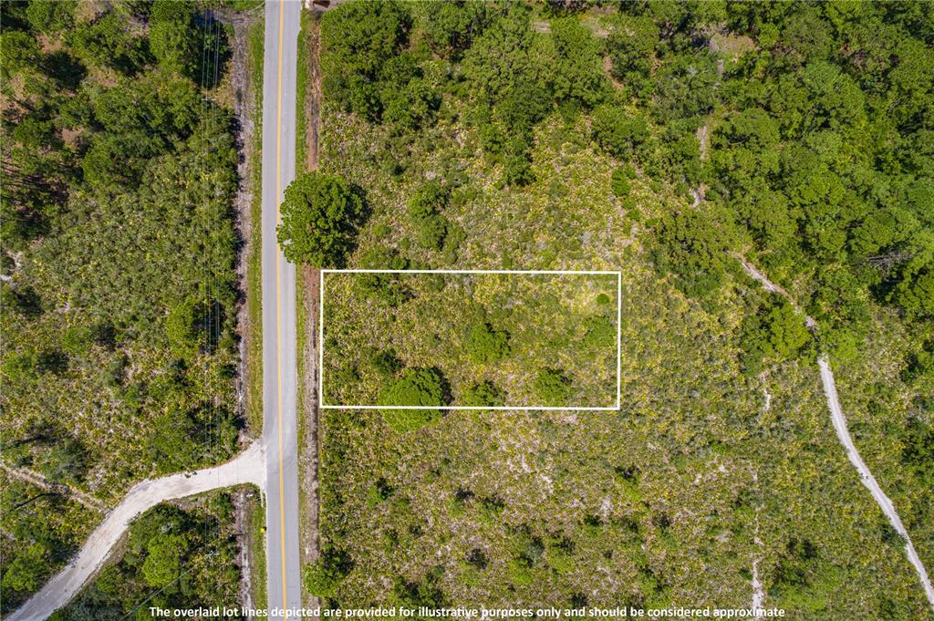 652 HALLMARK AVENUE, LAKE PLACID, FL — photo 2 of 3