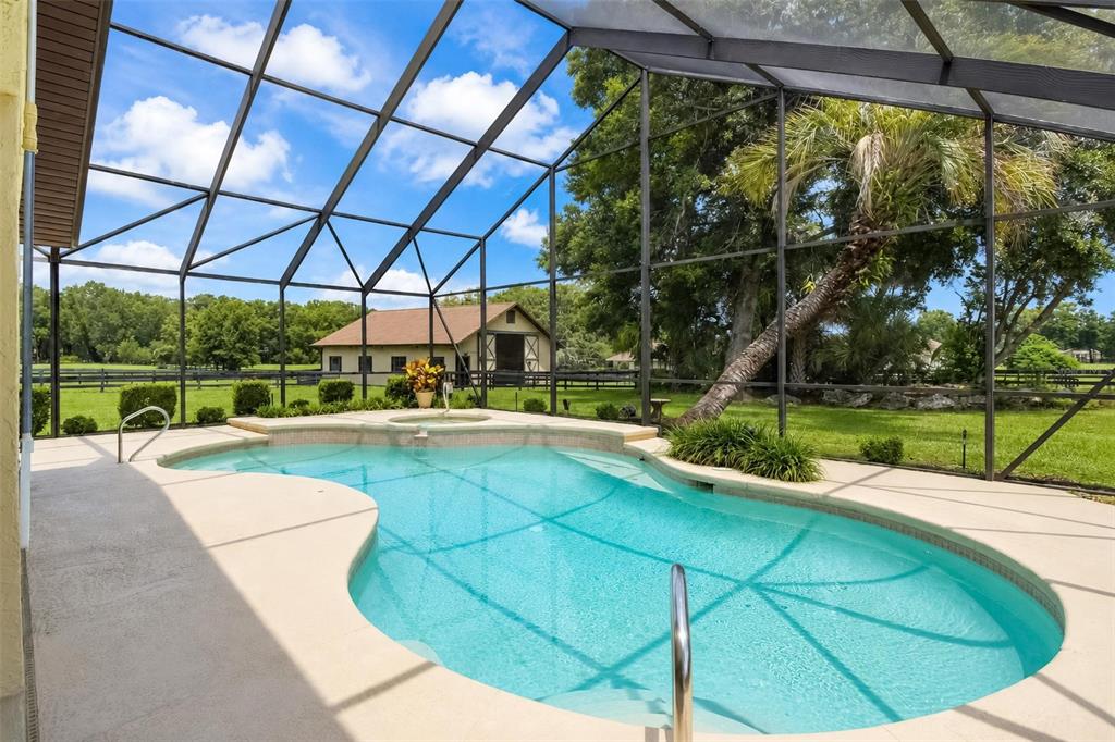 A swimming pool and hot tub are enclosed by a screen cage overlooking a yard — 6899 SW 99TH STREET, OCALA, FL