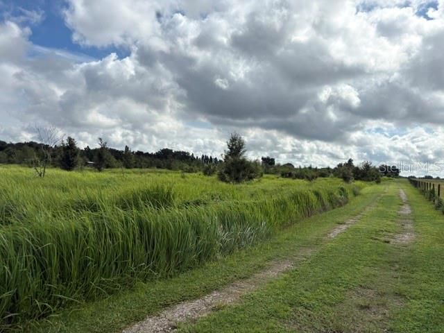 WALTER HUNTER ROAD Lot 1, LITHIA, FL — photo 2 of 9