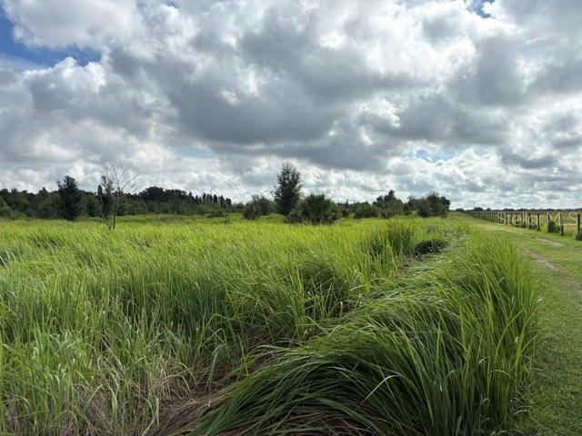 WALTER HUNTER ROAD Lot 1, LITHIA, FL — photo 3 of 9