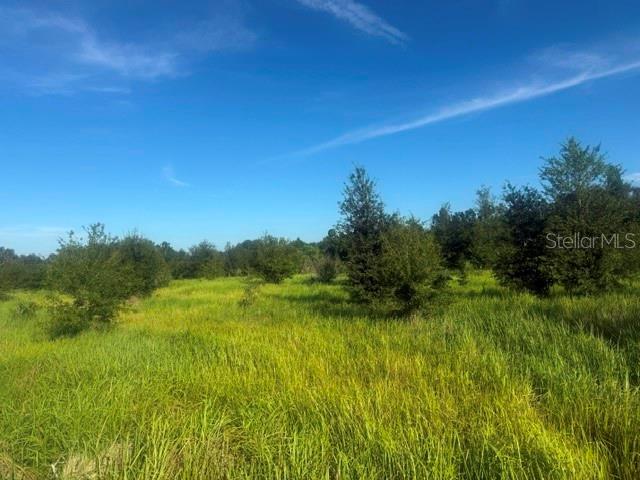 WALTER HUNTER ROAD Lot 1, LITHIA, FL — photo 4 of 9