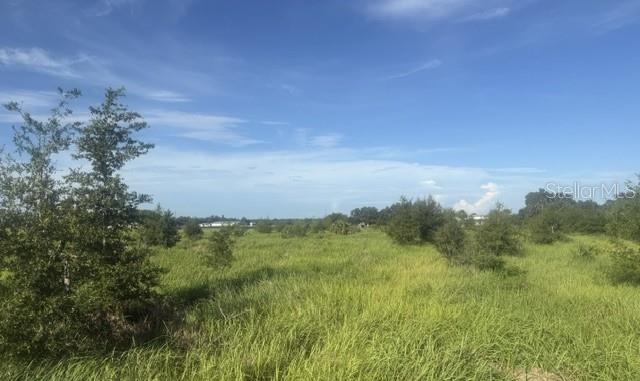 WALTER HUNTER ROAD Lot 1, LITHIA, FL — photo 5 of 9