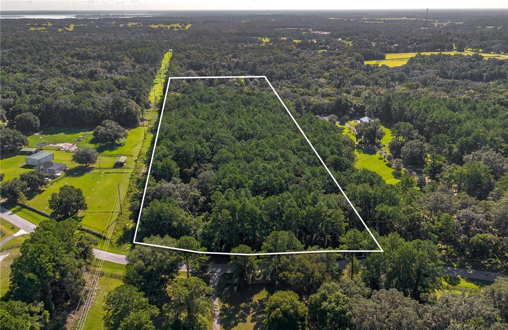 An aerial view shows a wooded rectangular lot outlined in white amidst a rural landscape — TBD NW 88TH AVENUE RD, REDDICK, FL