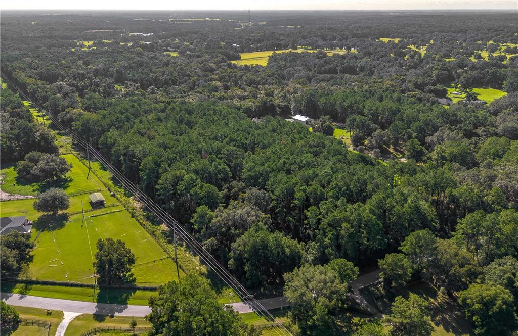 An aerial view shows a wooded lot bordered by a road, power lines, and pastures — TBD NW 88TH AVENUE RD, REDDICK, FL