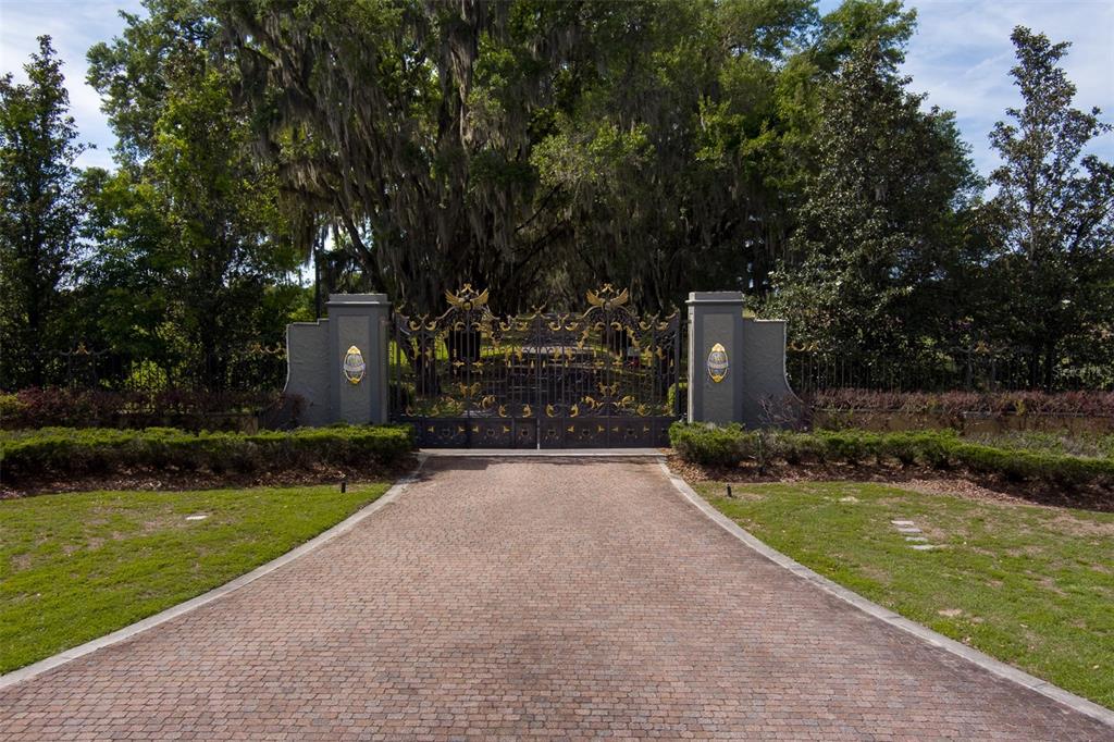 A paved driveway leads to an ornate black and gold metal gate between two stone pillars — TBD SE 111TH PLACE, OCALA, FL