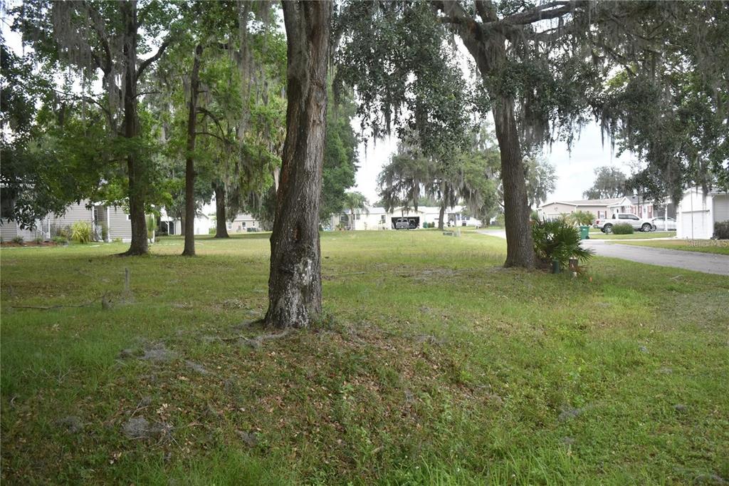 A grassy, tree-filled vacant lot sits next to a paved road in a residential neighborhood — LOT 7 BLK D LEXINGTON CIRCLE, WILDWOOD, FL