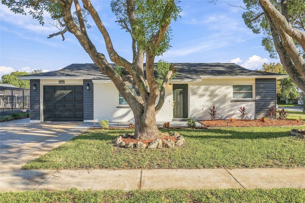 4147 RACCOON LOOP