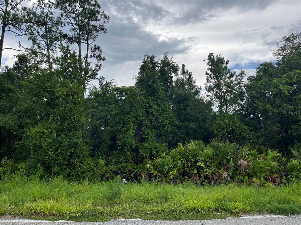 A paved road stretches forward through a rural area with trees and a speed limit sign — 6883 ST JOHNS AVENUE, PALATKA, FL