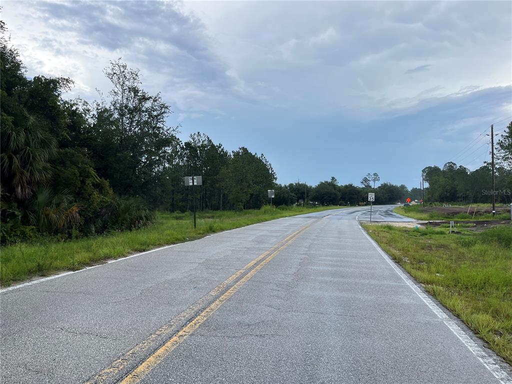 A view of a densely wooded, undeveloped lot bordering a paved road — 6883 ST JOHNS AVENUE, PALATKA, FL
