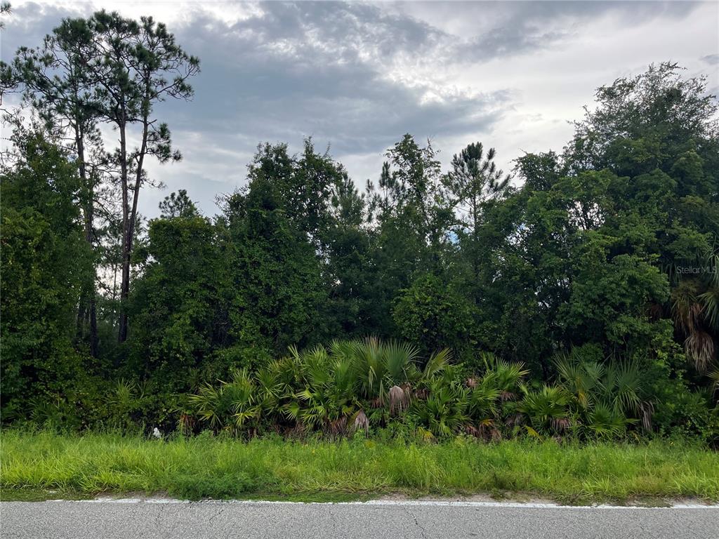 A grassy field features a dense cluster of trees and saw palmettos — 6883 ST JOHNS AVENUE, PALATKA, FL