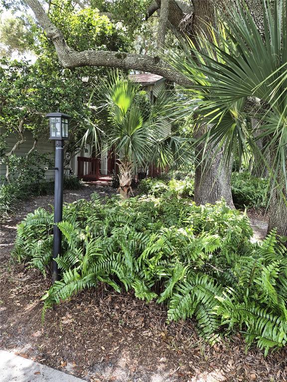 9913 W BAY STREET, SEMINOLE, FL — photo 5 of 30