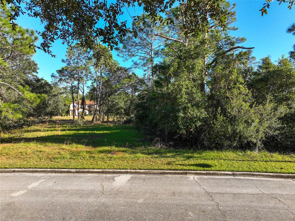 A vacant, grassy residential lot is bordered by trees with a house visible in the background — 7180 OAK GLEN TRL, ST CLOUD, FL