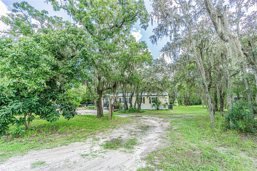 A light-colored mobile home sits on a grassy lot surrounded by large, moss-draped oak trees — 11420 ENGLISH WALNUT STREET, HUDSON, FL