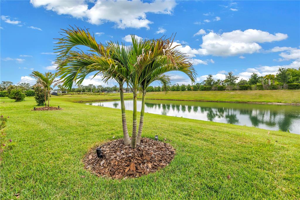 A single-story house with a tan garage, blue front door, and a landscaped front yard — 8217 TRIMBELLE, PARRISH, FL