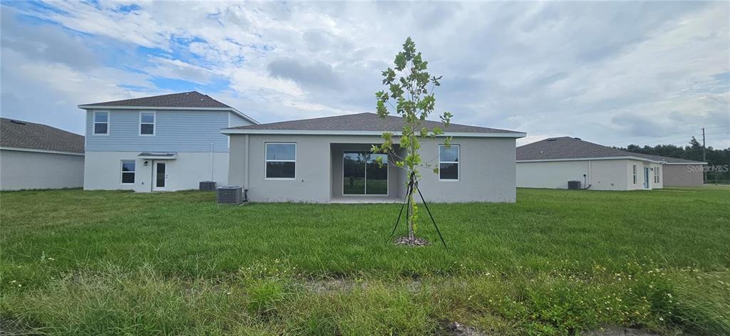 The rear exterior of a single-story house with a lawn and a young tree — 932 HAROLD PASS, WINTER HAVEN, FL
