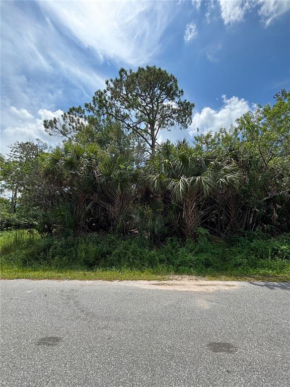 1124 WESCHESTER ROAD SE, PALM BAY, FL — photo 2 of 4
