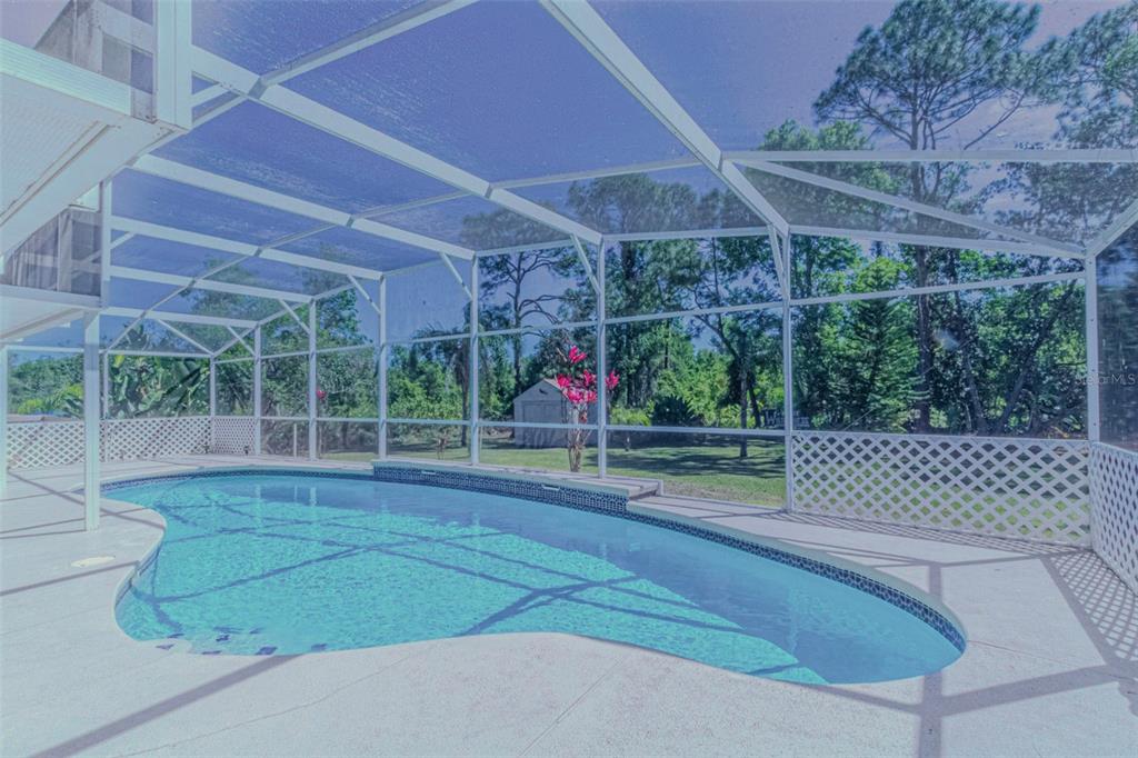 A screened-in swimming pool with a concrete deck and a view of a grassy backyard — 3394 HAWKIN DRIVE, KISSIMMEE, FL
