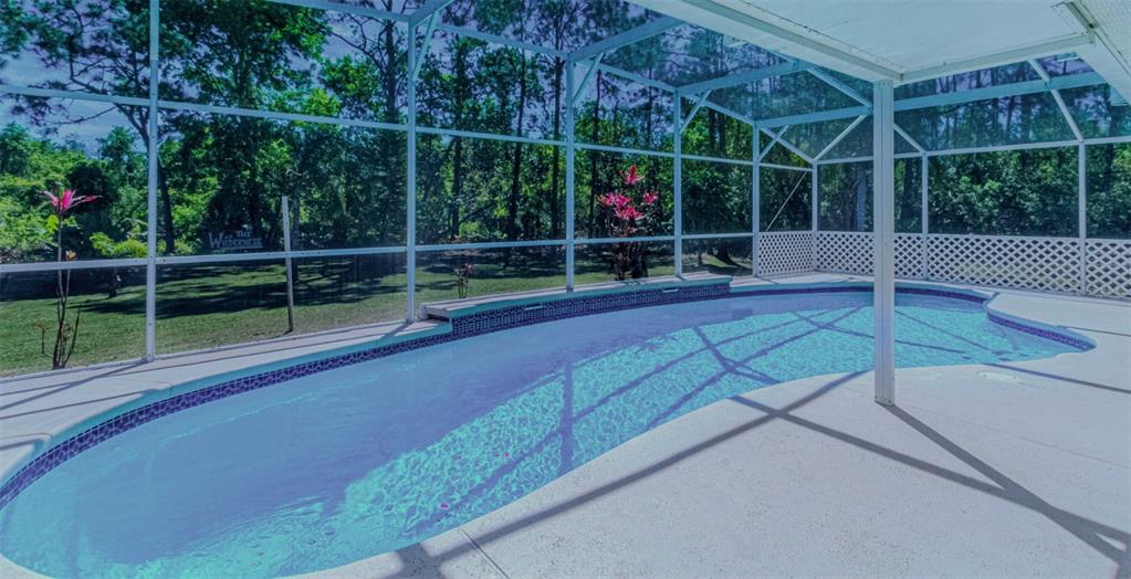 A screened-in swimming pool with a tiled border sits on a concrete patio near woods — 3394 HAWKIN DRIVE, KISSIMMEE, FL