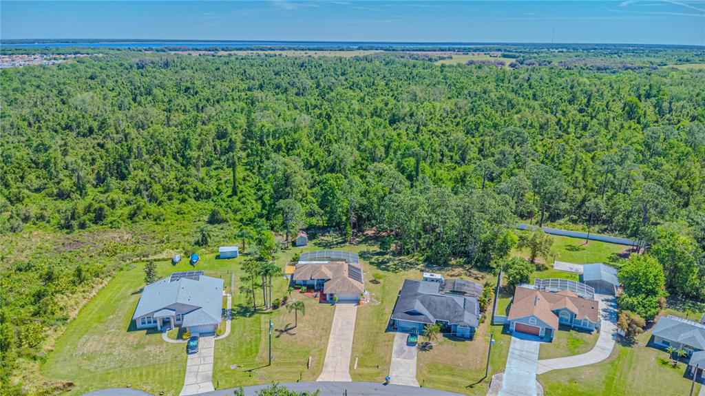 An aerial view shows four suburban houses with driveways bordering a large, dense forest area — 3394 HAWKIN DRIVE, KISSIMMEE, FL