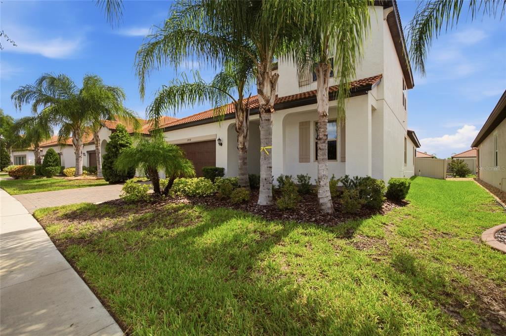 A two-story house with a brown garage, palm trees, and a landscaped front yard — 17218 STAR BANKS STREET, WIMAUMA, FL