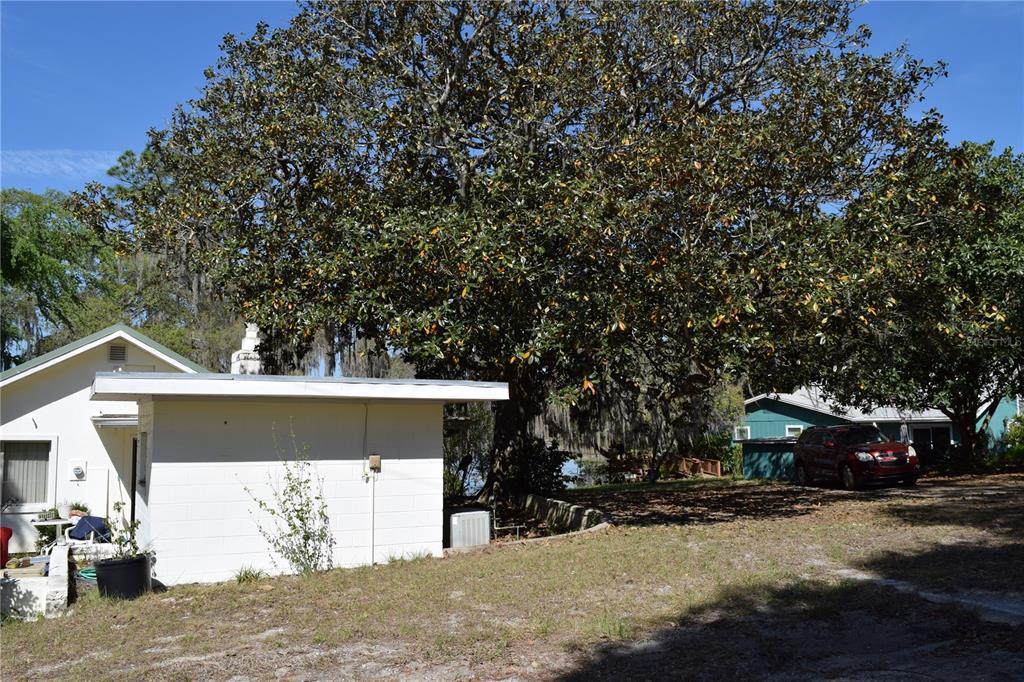 A large tree stands between a white block building and a house with a car — 121 AWEEMA WAY, MELROSE, FL