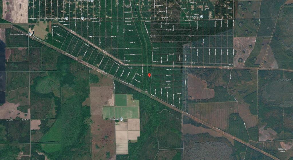This is an aerial map view of a wooded residential area with a red location pin — E DEEP CREEK BOULEVARD, HASTINGS, FL