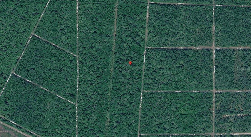 This is a satellite map view of a wooded area with a red location pin — E DEEP CREEK BOULEVARD, HASTINGS, FL