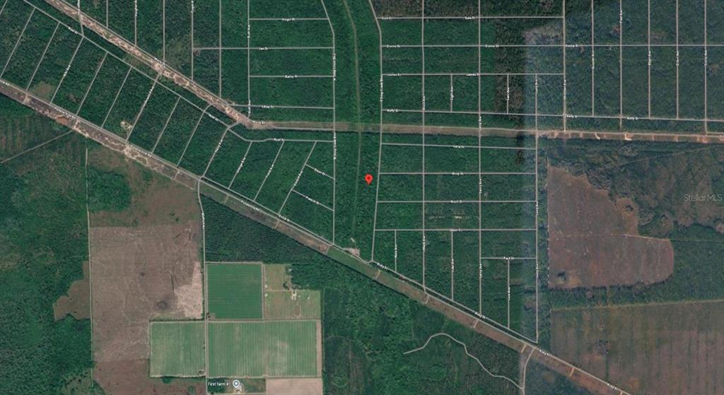 This is an aerial map view of a wooded lot with a red location pin — E DEEP CREEK BOULEVARD, HASTINGS, FL