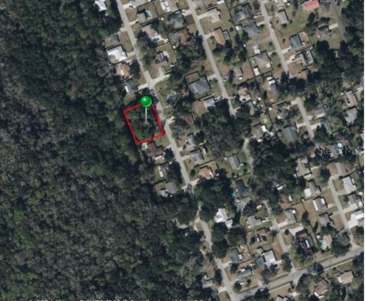 This is an aerial map view of a vacant residential lot outlined in red — SILVER PALM DRIVE, EDGEWATER, FL