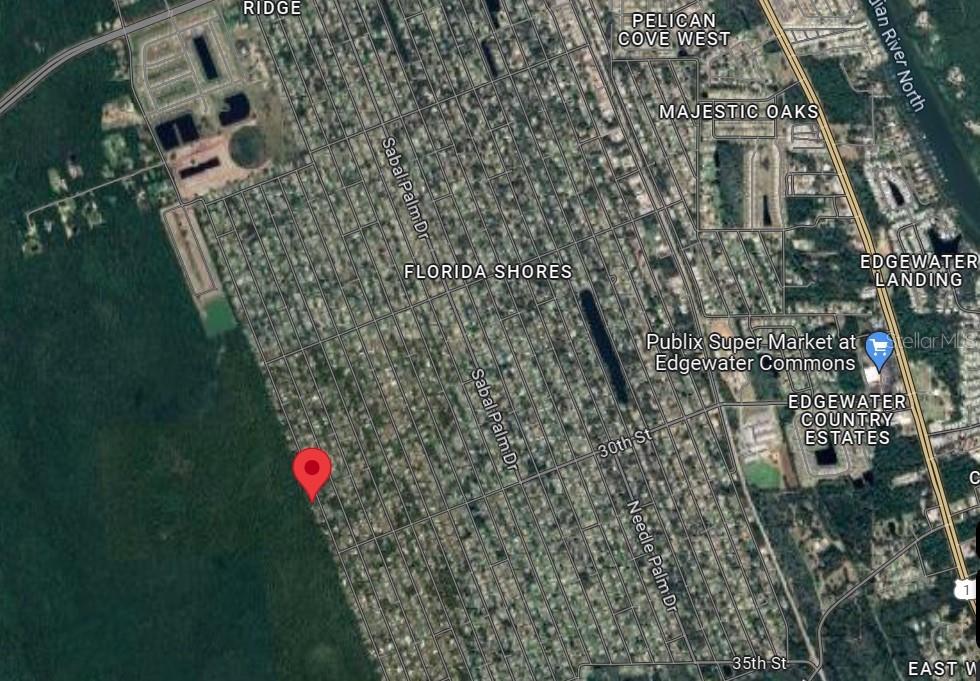 This is a satellite map view showing a residential area with a red location pin — SILVER PALM DRIVE, EDGEWATER, FL