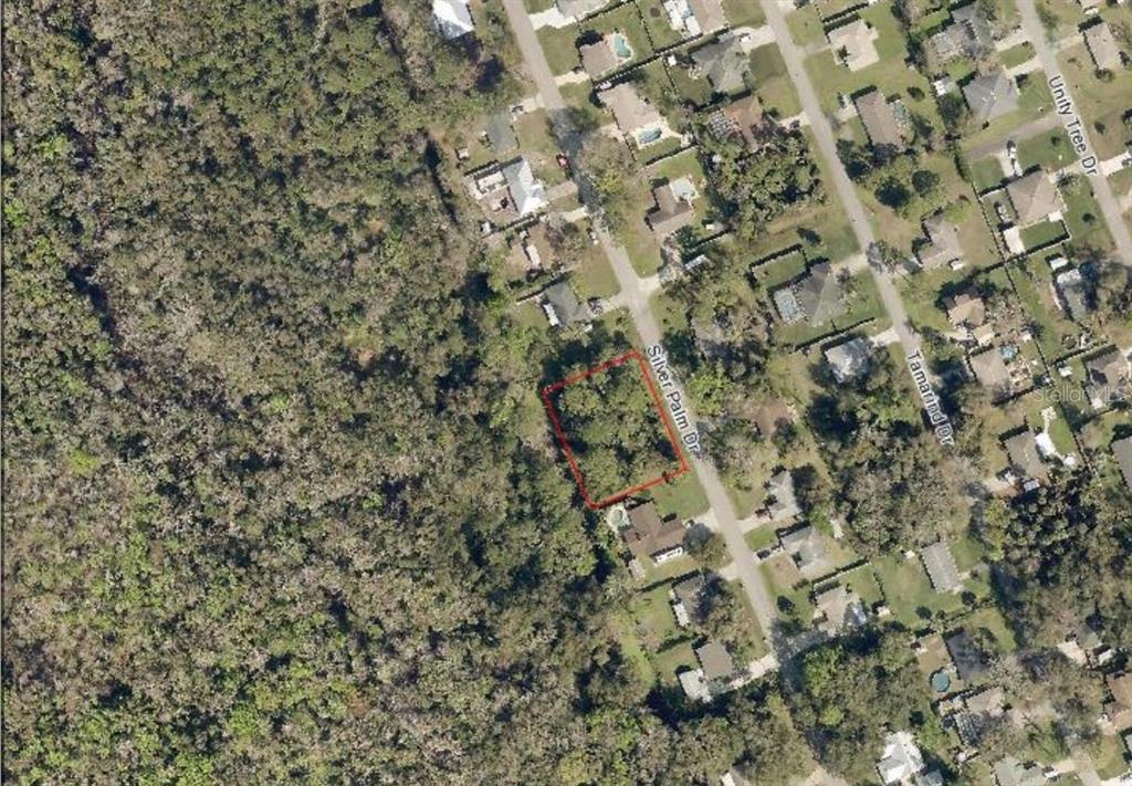 An aerial map view shows a vacant, wooded residential lot outlined in red on a street — SILVER PALM DRIVE, EDGEWATER, FL