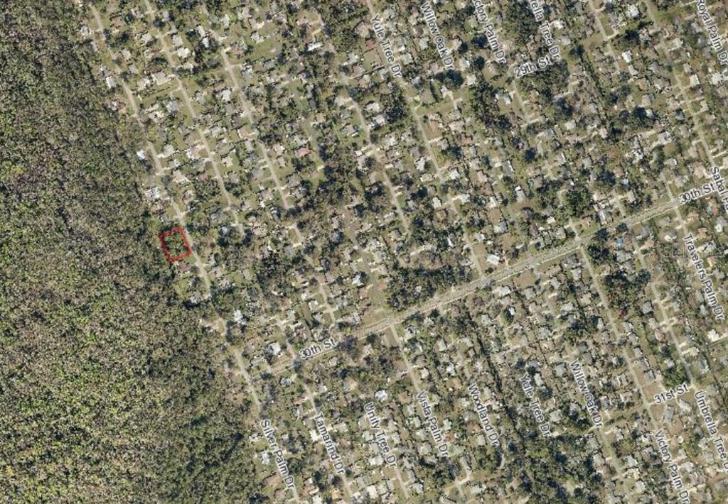 An aerial map view shows a residential neighborhood with a red box highlighting a lot — SILVER PALM DRIVE, EDGEWATER, FL